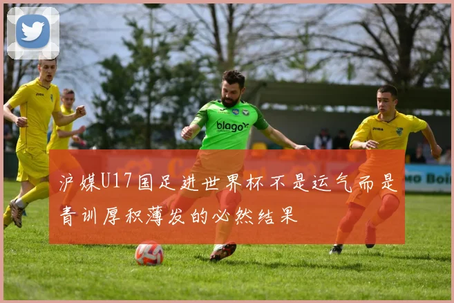 沪媒U17国足进世界杯不是运气而是青训厚积薄发的必然结果